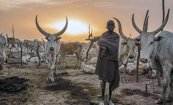 South Sudan 4 days