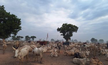 South Sudan 4 days